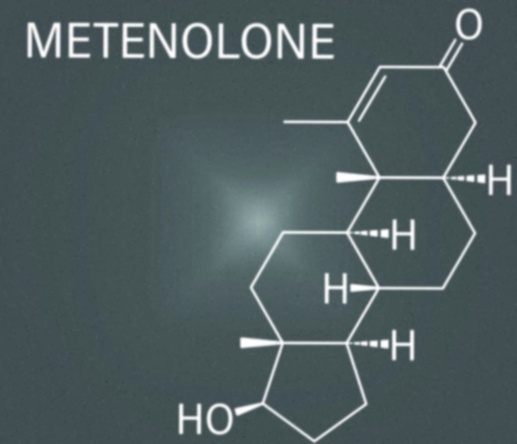 Achat Methenolone